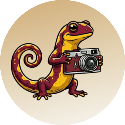 Salamandre avec appareil photo